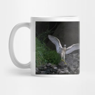 'Night Heron'...Superheron! or Superhero? Mug